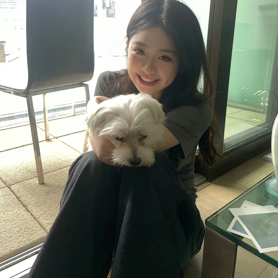 狐狸女士第二季